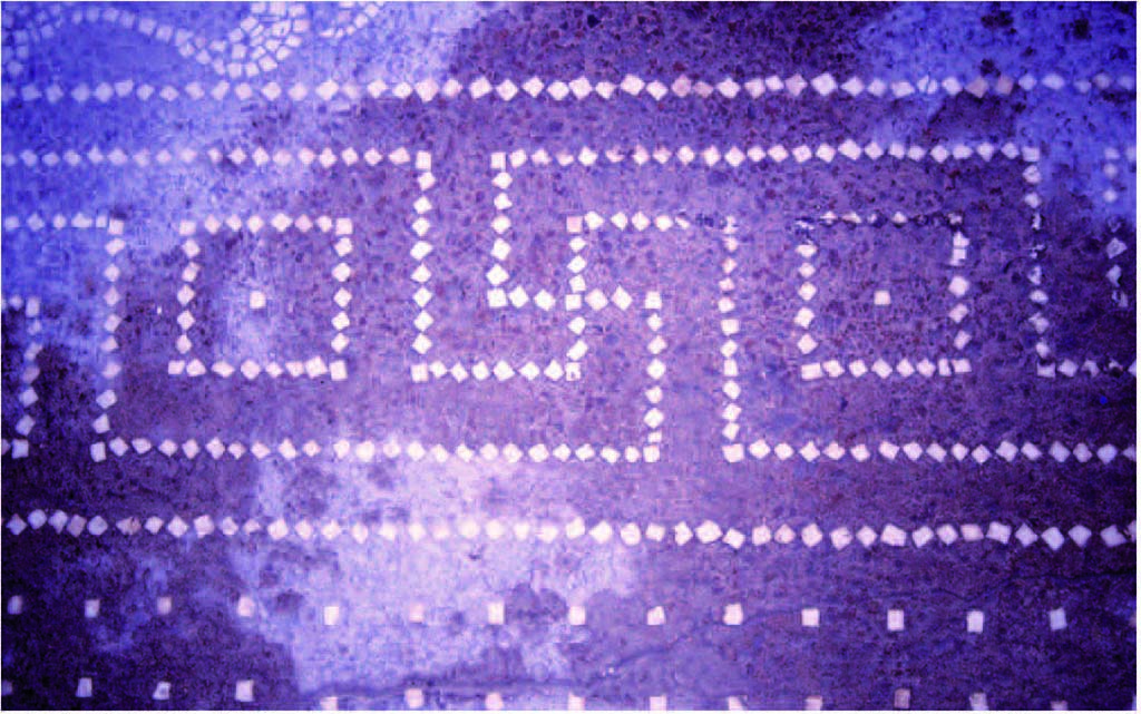 I.14.2 Pompeii. Room H, detail of meander in mosaic floor.
Fig. 247 � D�tail du m�andre du pavement du salon de la maison I 14, 2 (photographie V�ronique Blanc-Bijon).
Voir V�ronique Blanc-Bijon : Les Sols in Magali Cullin-Mingaud, 2010. La vannerie dans l'Antiquit� romaine: Collection du Centre Jean B�rard 35. Paris. Centre Jean Berard, pp. 233-8, fig. 247. 
https://books.openedition.org/pcjb/706
