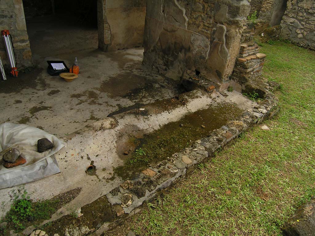 I.14.2 Pompeii. July 2008. Area L, west side, looking south. Photo courtesy of Guilhem Chapelin. 
According to Jashemski � � a gutter along the west side of the house carried rain-water to a cistern under the stairs�
See Jashemski, W. F., 1993. The Gardens of Pompeii, Volume II: Appendices. New York: Caratzas. (p.59)
