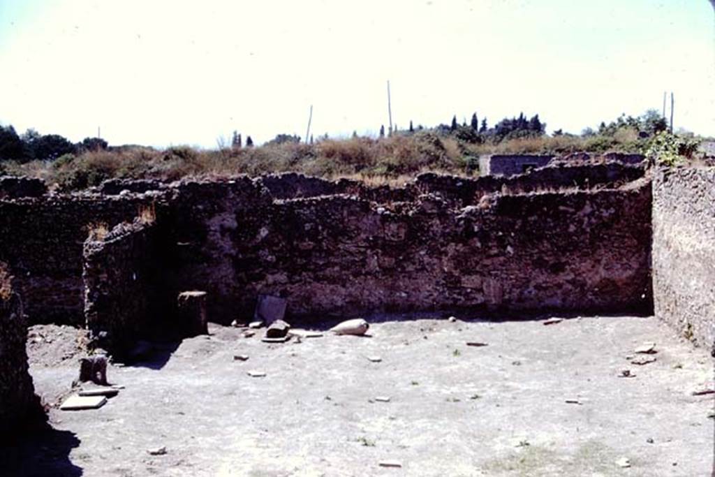 I.14.2 Pompeii. 1972. Looking west across garden area with root cavities safely under the stones. Photo by Stanley A. Jashemski. 
Source: The Wilhelmina and Stanley A. Jashemski archive in the University of Maryland Library, Special Collections (See collection page) and made available under the Creative Commons Attribution-Non Commercial License v.4. See Licence and use details. J72f0688
According to Wilhelmina, �49 root cavities were found, 4 of these being large trees located at the edges of the garden. The others, excepting those found near the triclinium and an additional clump near the limestone block, were irregularly spaced in 5 rows running lengthwise in the garden, and these cavities were probably those of trees. There were also carbonized beans found in the garden, as well as carbonized figs and olive pollen�.  
See Jashemski, W. F., 1993. The Gardens of Pompeii, Volume II: Appendices. New York: Caratzas. (p.59)
