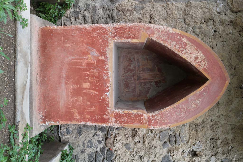 I.14.7 Pompeii.  March 2009.  Painted flowers and plants on the east side of the Lararium niche.