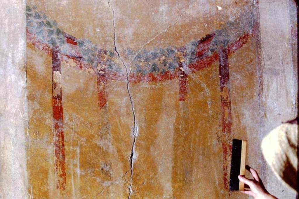 I.15.1 Pompeii, 1968. Tablinum, detail from second panel from north end of east wall.
According to P.P.M., the decoration has white pillars from which hang ivy garlands and red, purple and green ribbons.
Photo by Stanley A. Jashemski.
Source: The Wilhelmina and Stanley A. Jashemski archive in the University of Maryland Library, Special Collections (See collection page) and made available under the Creative Commons Attribution-Non Commercial License v.4. See Licence and use details.
J68f1262
See Carratelli, G. P., 1990-2003. Pompei: Pitture e Mosaici: Vol. II. Roma: Istituto della enciclopedia italiana, p. 962.