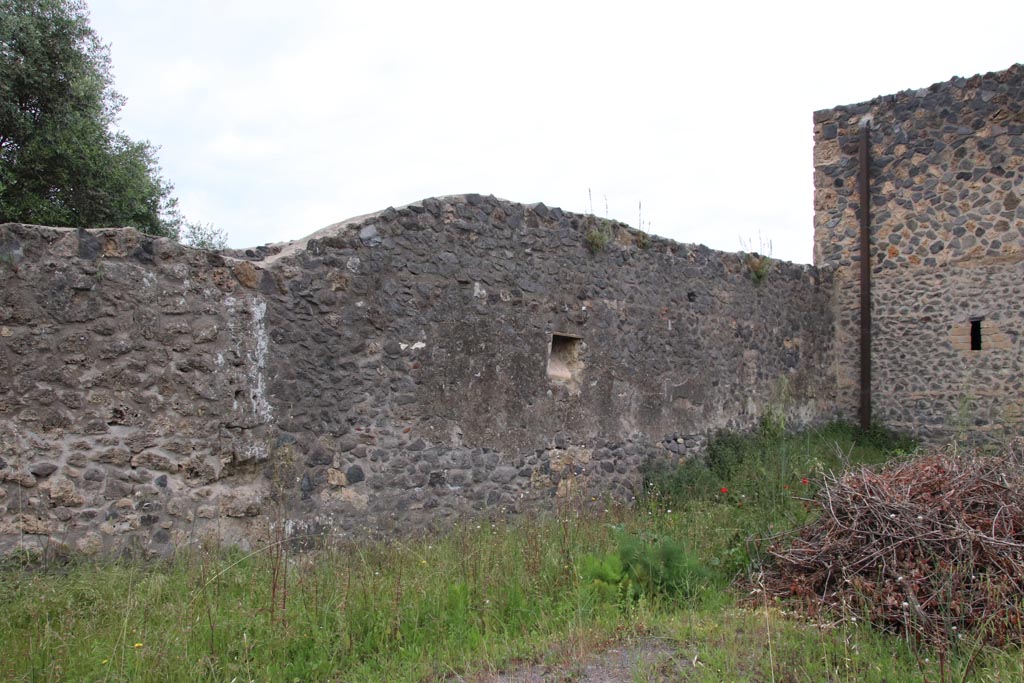 I.15.3 Pompeii. May 2024. West wall of garden/vineyard 14, with niche near north-west corner. Photo courtesy of Klaus Heese. 

