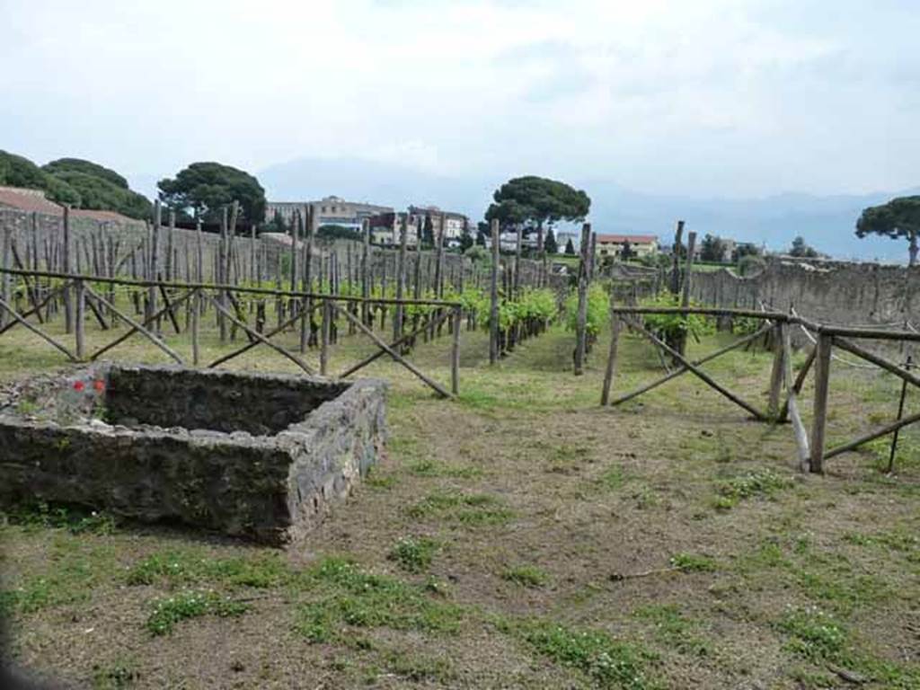 I.15.3 Pompeii. May 2010. Looking south across room 14, garden area.
In the enormous garden at the rear of the houses on the north side of the insula, roots from an orchard, vineyard and vegetable garden were discovered.
According to Laurence a market garden was identified in the south-eastern area of Insula 15.
Produce included grapes, olives, nuts, fruit and vegetables. These were probably sold elsewhere in the city.
Similar planting schemes were excavated in the 19th century at VI.6.1 and IX.1.20.”
See Laurence R., 1994. Roman Pompeii: Space and Society. London: Routledge, p. 67.
