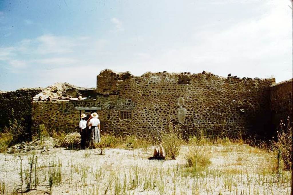 1.15.6 and I.15, Pompeii. 1959. East wall of garden of I.15.1/3 with doorway to I.15.6 and two terracotta windows of I.15.5.
Photo by Stanley A. Jashemski.
Source: The Wilhelmina and Stanley A. Jashemski archive in the University of Maryland Library, Special Collections (See collection page) and made available under the Creative Commons Attribution-Non Commercial License v.4. See Licence and use details.
J59f0498