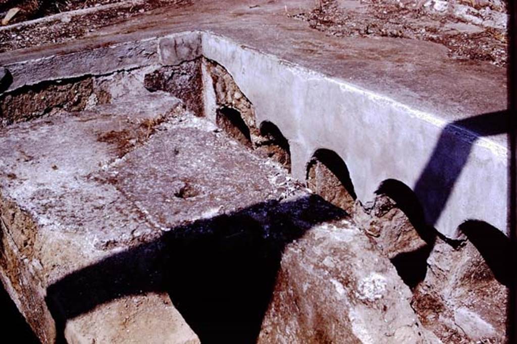 I.20.1 Pompeii. 1972. Detail of triclinium. Photo by Stanley A. Jashemski.
Source: The Wilhelmina and Stanley A. Jashemski archive in the University of Maryland Library, Special Collections (See collection page) and made available under the Creative Commons Attribution-Non Commercial License v.4. See Licence and use details. J72f0557