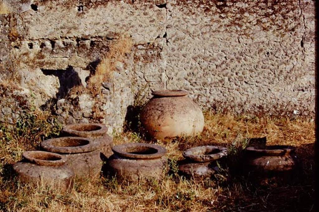 I.20.5 Pompeii. 1972. Dolia near east wall. Photo by Stanley A. Jashemski. 
Source: The Wilhelmina and Stanley A. Jashemski archive in the University of Maryland Library, Special Collections (See collection page) and made available under the Creative Commons Attribution-Non Commercial License v.4. See Licence and use details. J72f0195
According to Wilhelmina, �the 8 dolia embedded in the garden and perhaps the one embedded in the rear shop would have been used for fermenting the must�. 
See Jashemski, W. F., 1993. The Gardens of Pompeii, Volume II: Appendices. New York: Caratzas.  (p.67)
