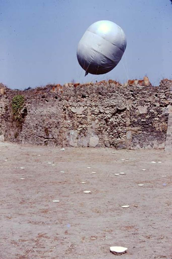 I.20.5 Pompeii. 1974. Looking across painted wooden discs identifying the root cavities, towards the north wall. The �balloon� was outside the wall in the Via della Palestra. Photo by Stanley A. Jashemski.   
Source: The Wilhelmina and Stanley A. Jashemski archive in the University of Maryland Library, Special Collections (See collection page) and made available under the Creative Commons Attribution-Non Commercial License v.4. See Licence and use details. J74f0441
