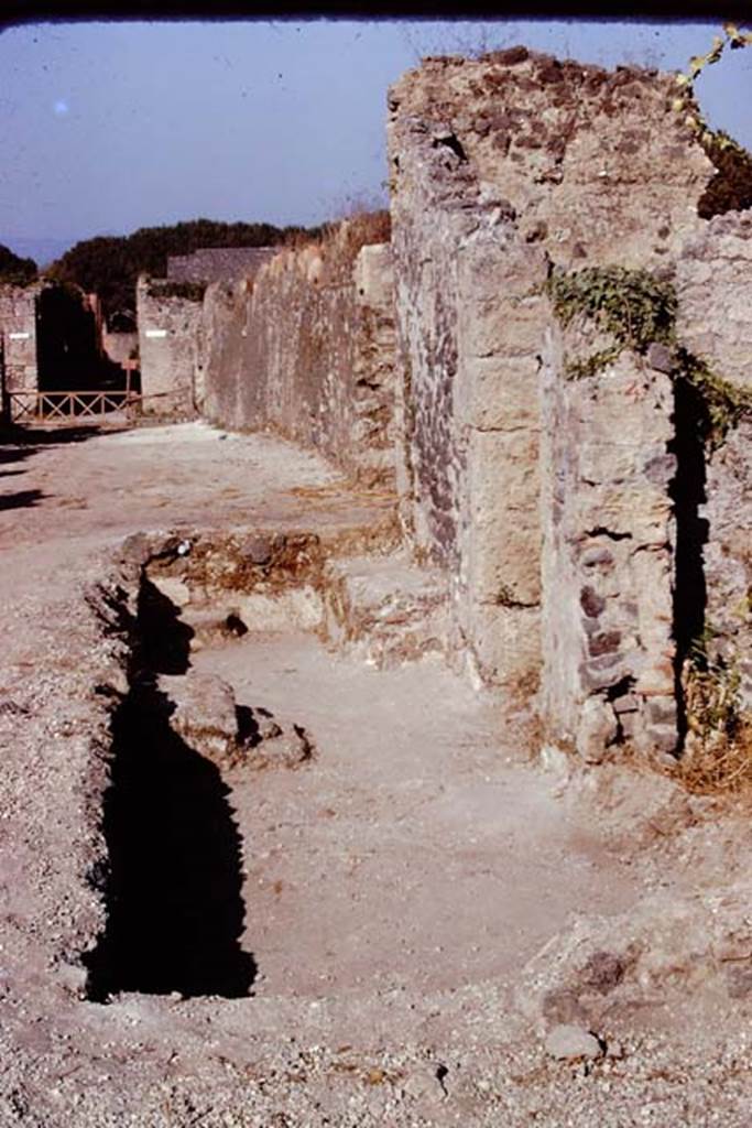 I.21.5 Pompeii, centre right. 1974. Looking east along Via della Palestra from outside I.21.4 and 5.  Photo by Stanley A. Jashemski.   
Source: The Wilhelmina and Stanley A. Jashemski archive in the University of Maryland Library, Special Collections (See collection page) and made available under the Creative Commons Attribution-Non Commercial License v.4. See Licence and use details. J74f0686
