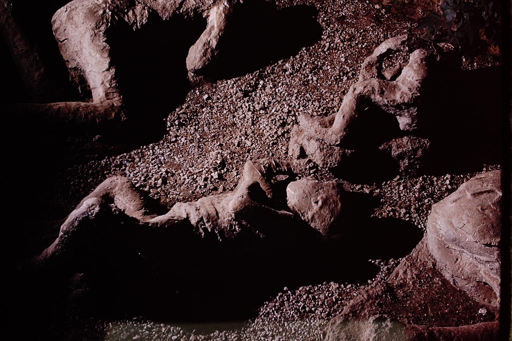I.21.6 Pompeii. 1974. Detail of plaster cast of victim 37. Photo by Stanley A. Jashemski.
Source: The Wilhelmina and Stanley A. Jashemski archive in the University of Maryland Library, Special Collections (See collection page) and made available under the Creative Commons Attribution-Non Commercial License v.4. See Licence and use details.
J74f0224