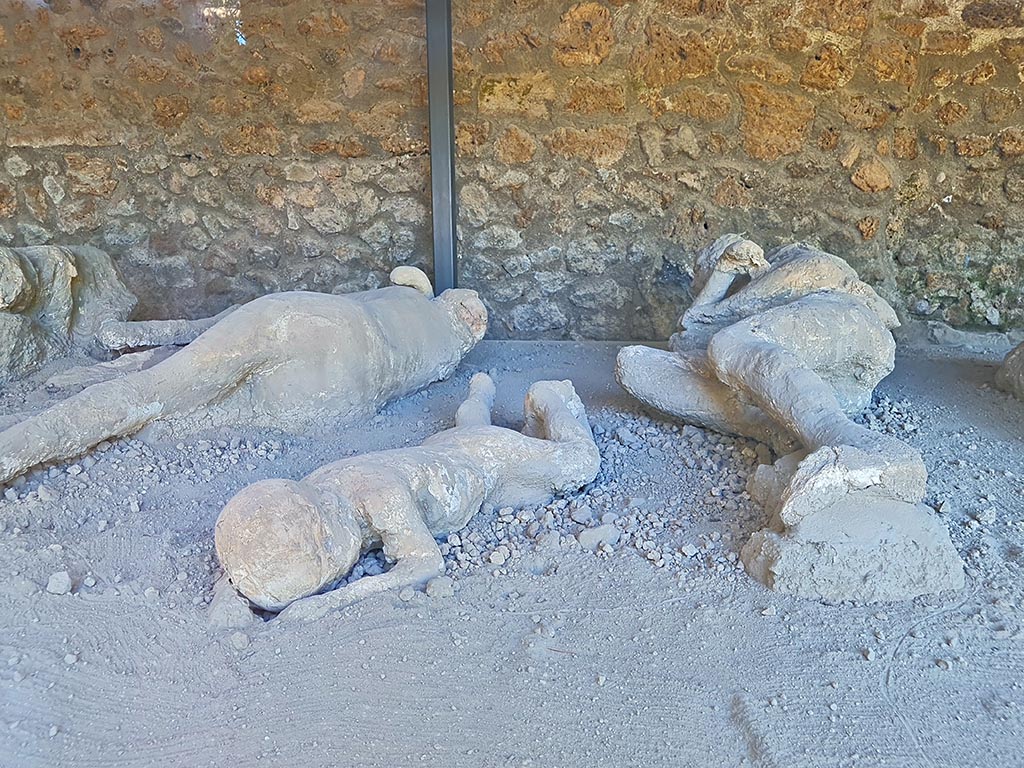 I.21.6 Pompeii. October 2024.
Victim 41, 40 and 39, detail of three plaster-casts of impressions of victims. Photo courtesy of Giuseppe Ciaramella.