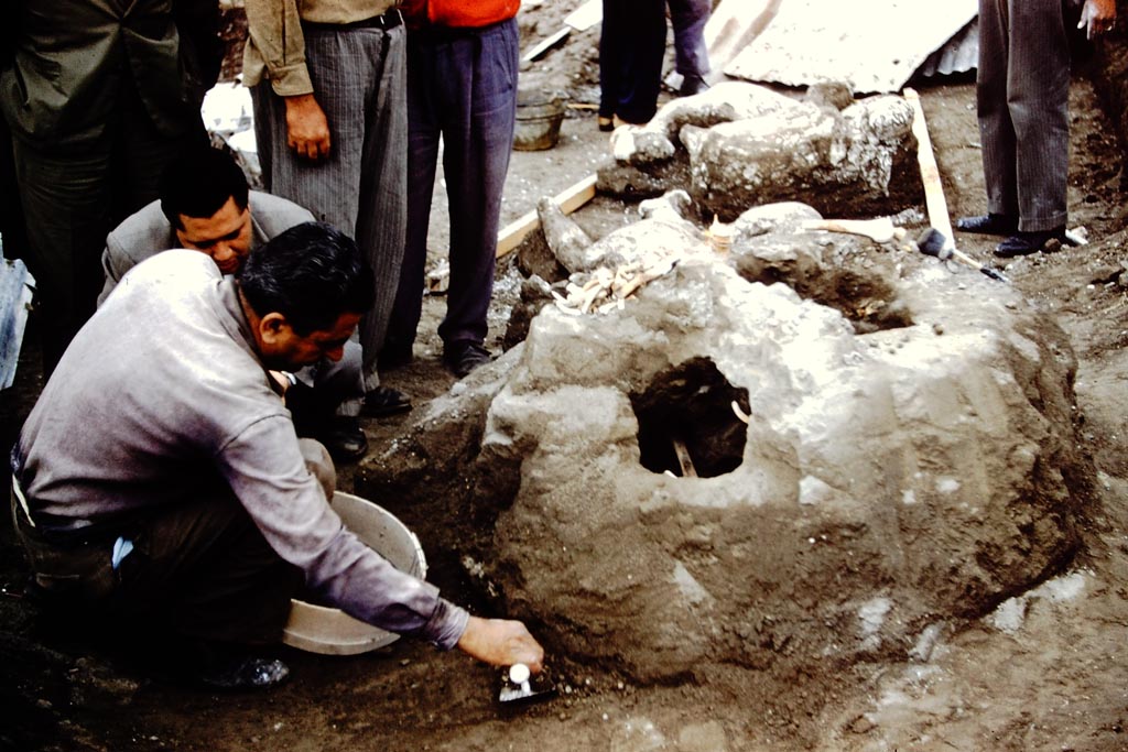 1.21.6 Pompeii. 1961.
New excavations near the south wall, where some mounds of hardened volcanic ash had been left undisturbed during the excavation of the surrounding garden area. These contained cavities which when filled with cement would form the shape of the human fugitives.
Photo by Stanley A. Jashemski.
Source: The Wilhelmina and Stanley A. Jashemski archive in the University of Maryland Library, Special Collections (See collection page) and made available under the Creative Commons Attribution-Non-Commercial License v.4. See Licence and use details.
J61f0378