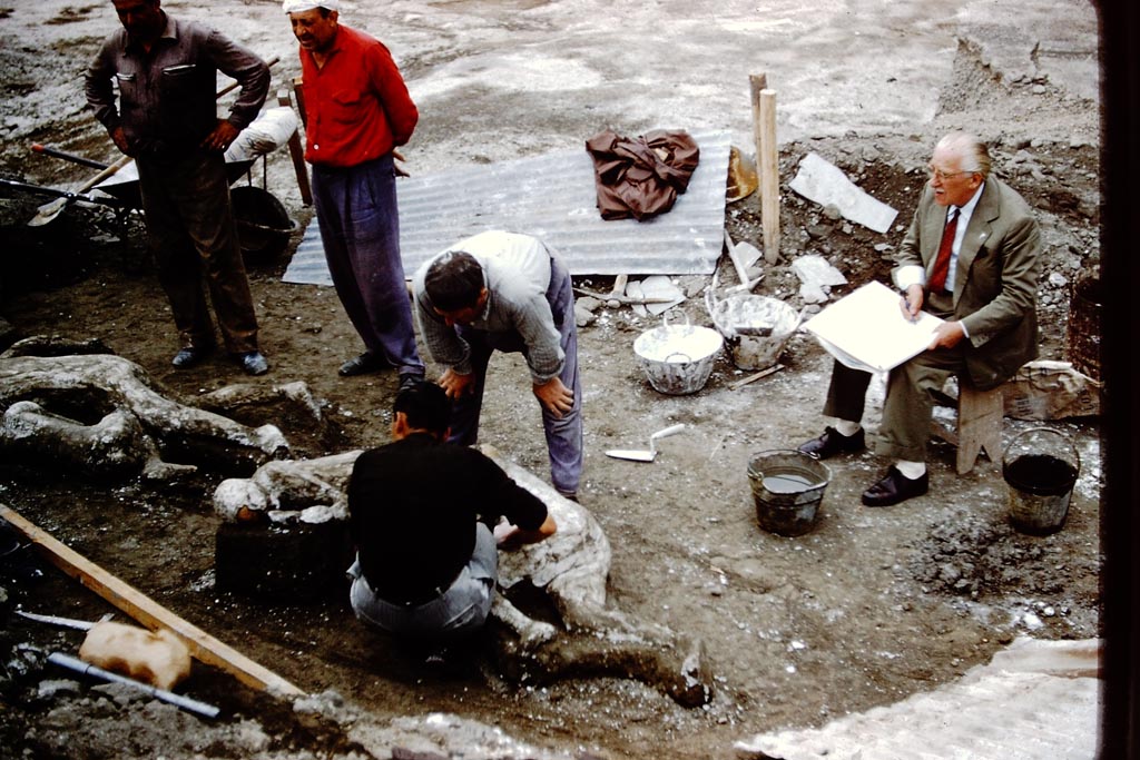 1.21.6 Pompeii. 1961. Finding of the fugitives. Photo by Stanley A. Jashemski.
Source: The Wilhelmina and Stanley A. Jashemski archive in the University of Maryland Library, Special Collections (See collection page) and made available under the Creative Commons Attribution-Non-Commercial License v.4. See Licence and use details.
J61f0379