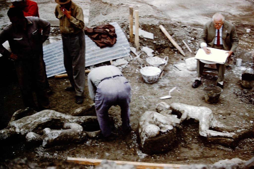 1.21.6 Pompeii. 1961. Finding of the fugitives. Photo by Stanley A. Jashemski.
Source: The Wilhelmina and Stanley A. Jashemski archive in the University of Maryland Library, Special Collections (See collection page) and made available under the Creative Commons Attribution-Non-Commercial License v.4. See Licence and use details.
J61f0380