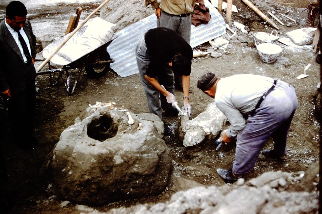 1.21.6 Pompeii. 1961. Finding of the fugitives. Photo by Stanley A. Jashemski.
Source: The Wilhelmina and Stanley A. Jashemski archive in the University of Maryland Library, Special Collections (See collection page) and made available under the Creative Commons Attribution-Non-Commercial License v.4. See Licence and use details.
J61f0382