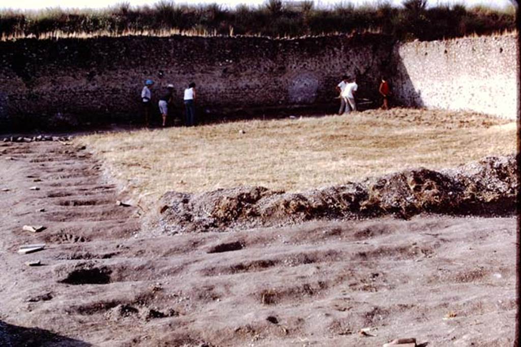 I.21.6 Pompeii. 1973. Looking towards south-west corner of site. Photo by Stanley A. Jashemski.
Source: The Wilhelmina and Stanley A. Jashemski archive in the University of Maryland Library, Special Collections (See collection page) and made available under the Creative Commons Attribution-Non Commercial License v.4. See Licence and use details. J73f0472