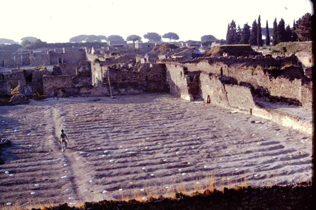I.21.6 Pompeii. 1974. Looking north-east across garden area where the painted discs have now replaced the stones. The white painted wooden discs were to ensure the “balloon”, photographing from above, would be able to easily identify the root cavities. Photo by Stanley A. Jashemski.
Source: The Wilhelmina and Stanley A. Jashemski archive in the University of Maryland Library, Special Collections (See collection page) and made available under the Creative Commons Attribution-Non Commercial License v.4. See Licence and use details. J74f0692