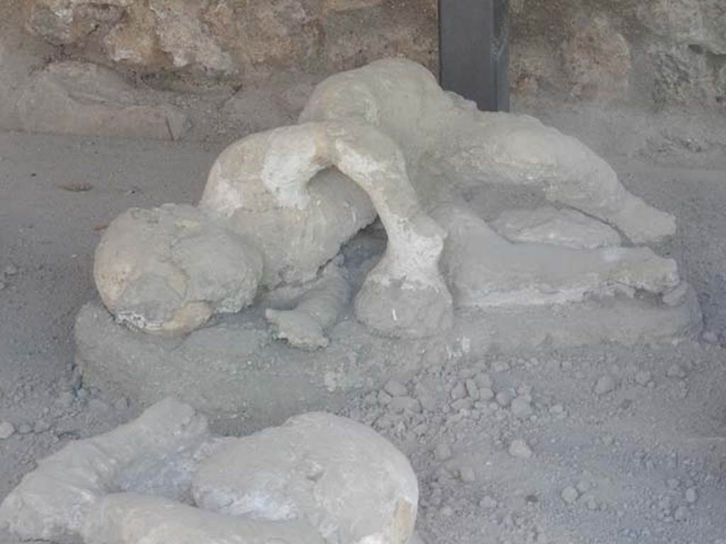 I.21.6 Pompeii. May 2016. Detail of plaster casts of impression of bodies.
Photo courtesy of Buzz Ferebee.