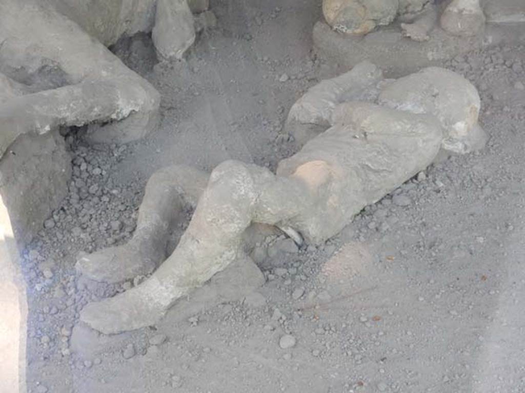 I.21.6 Pompeii. May 2016. Detail of a plaster casts of impression of a body.
Photo courtesy of Buzz Ferebee.