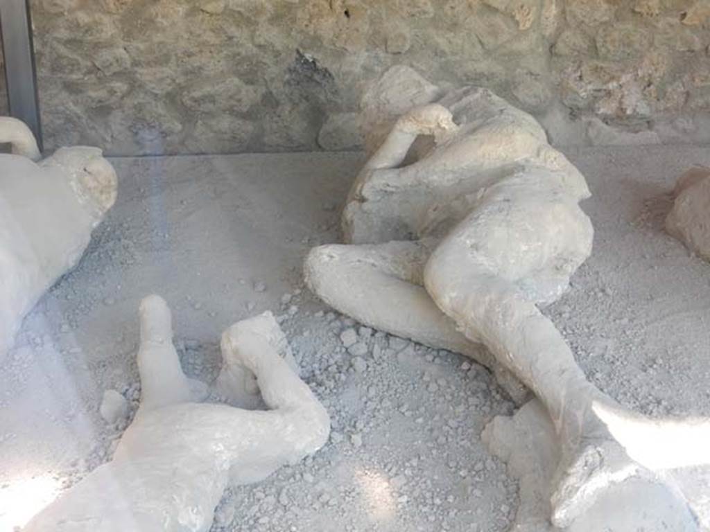 .21.6 Pompeii. May 2016. Detail of plaster casts of the impression of bodies.
Photo courtesy of Buzz Ferebee.