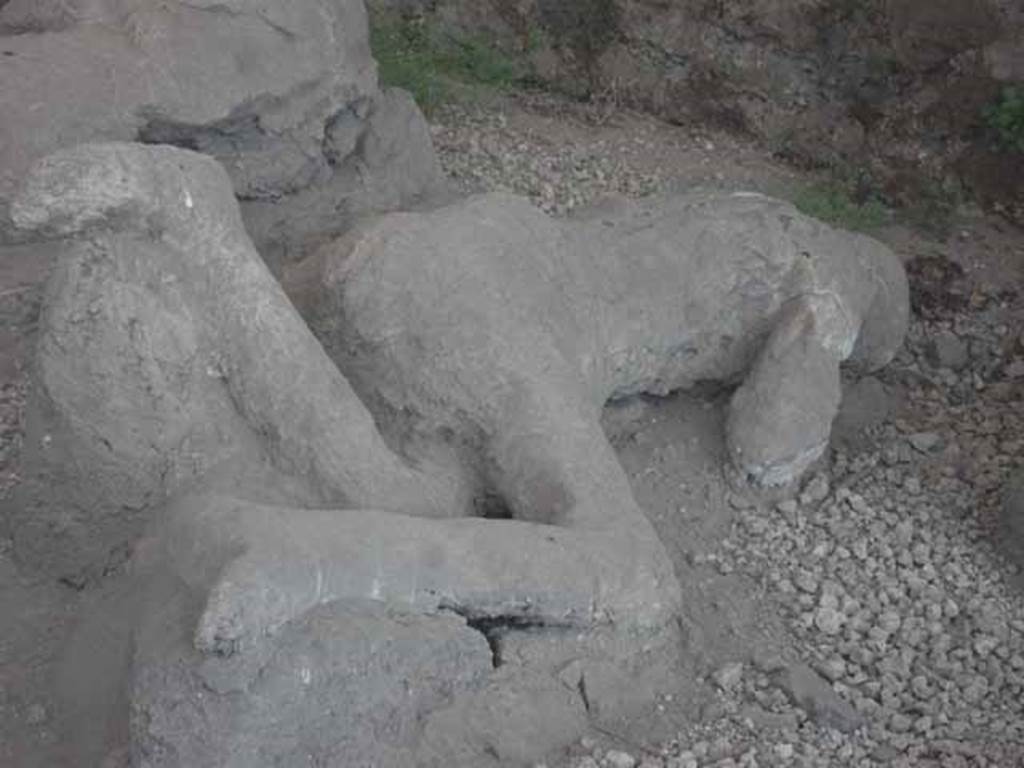 I.21.6 Pompeii. May 2010. Detail of plaster cast of impression of a body.