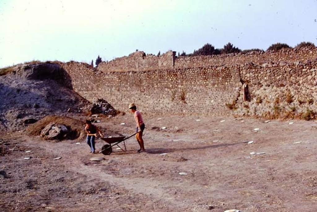 I.22 Pompeii. 1974. Lines of painted spheres showing the position of the root cavities. Photo by Stanley A. Jashemski.
Source: The Wilhelmina and Stanley A. Jashemski archive in the University of Maryland Library, Special Collections (See collection page) and made available under the Creative Commons Attribution-Non Commercial License v.4. See Licence and use details. J74f0409