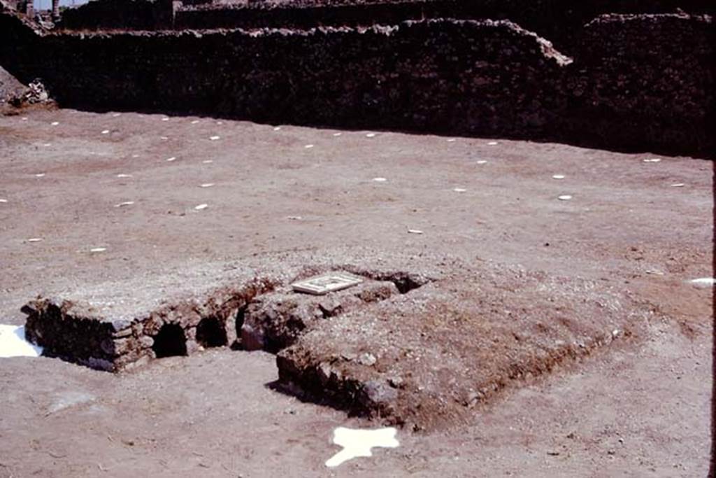 I.22 Pompeii. 1974. Triclinium with plaster-cast of root at either end. Photo by Stanley A. Jashemski.
Source: The Wilhelmina and Stanley A. Jashemski archive in the University of Maryland Library, Special Collections (See collection page) and made available under the Creative Commons Attribution-Non Commercial License v.4. See Licence and use details. J74f0464