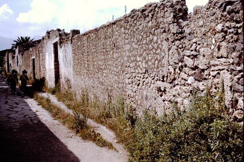 II.1.10 Pompeii. 1964. Looking north along the exterior wall towards the entrance doorway.
Photo by Stanley A. Jashemski.
Source: The Wilhelmina and Stanley A. Jashemski archive in the University of Maryland Library, Special Collections (See collection page) and made available under the Creative Commons Attribution-Non Commercial License v.4. See Licence and use details.
J64f1367
On the south side of doorway, according to Varone and Stefani, an inscription was seen, but no longer preserved. It read �
C . GAVIVM . RVFVM AED OVF GRANIVS ROG.   (CIL IV 9883)
See Varone, A. and Stefani, G., 2009. Titulorum Pictorum Pompeianorum, Rome: L�erma di Bretschneider. (p.184)

According to Epigraphik-Datenbank Clauss/Slaby (See www.manfredclauss.de), it read

C(aium) Gavium Rufum Aed(ilem) O(ro) V(os) F(acciatis) Ganius Rog(at)    (CIL IV 9883)
