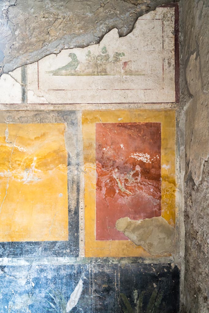 II.1.12 Pompeii. July 2021.
North wall of triclinium, near east end. Photo courtesy of Johannes Eber.