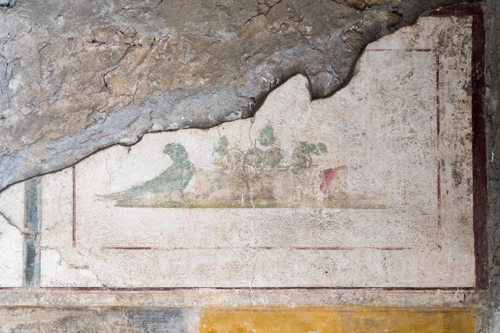 II.1.12 Pompeii. July 2021.
Triclinium, upper section of north wall at east end. Wall painting of a parrot and fruit. Photo courtesy of Johannes Eber.