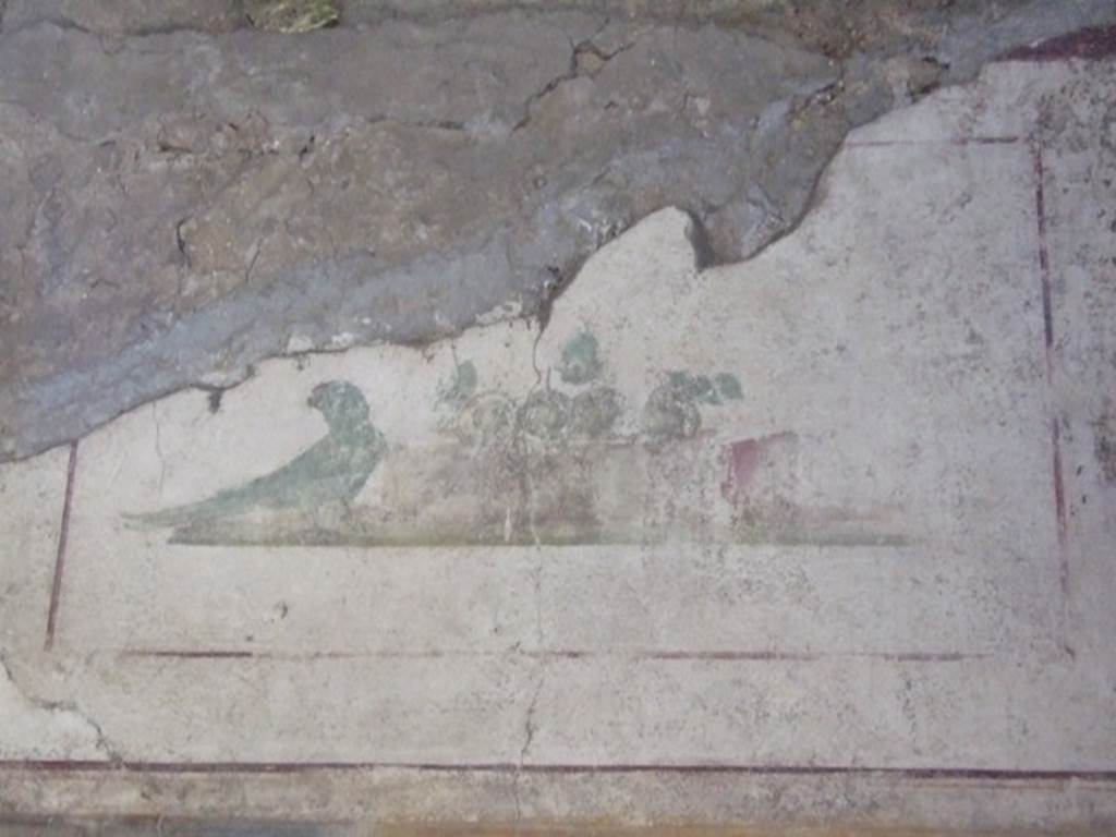 II.1.12 Pompeii. March 2009. Triclinium. North wall. Upper section. Wall painting a Parrot and fruit.