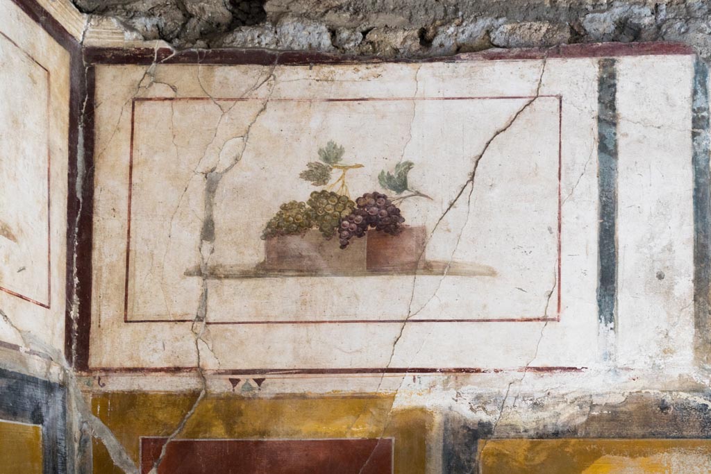 II.1.12 Pompeii. July 2021.
Triclinium, upper section of north wall at west end. Painted panel of bunches of grapes. Photo courtesy of Johannes Eber.