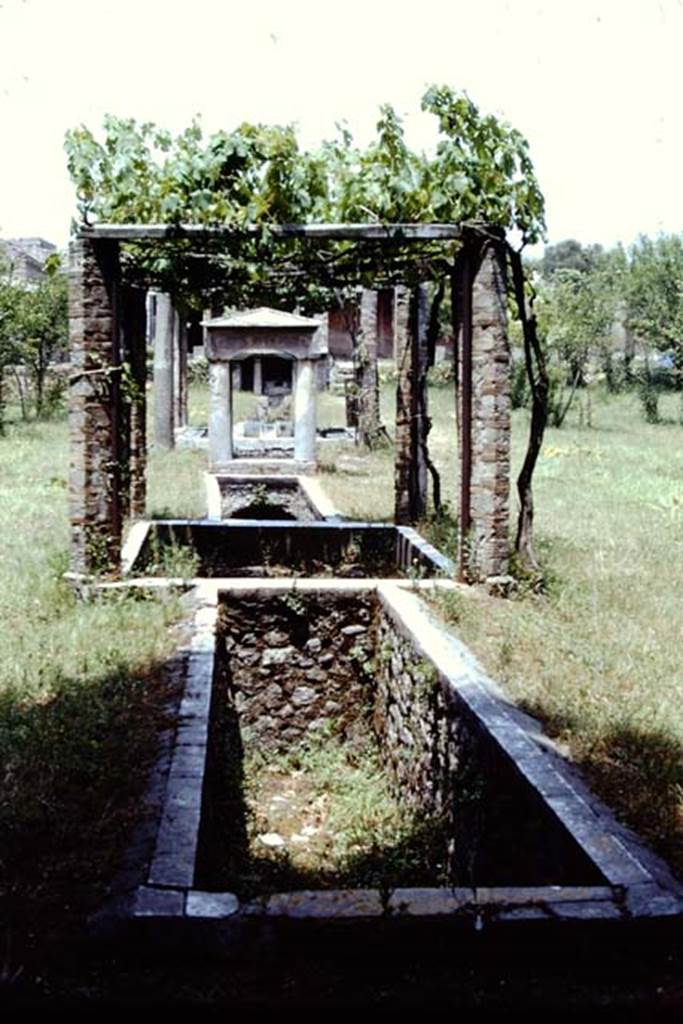 II.2.2 Pompeii. 1974. Room “l”, looking north along garden from south end. 
Photo by Stanley A. Jashemski.   
Source: The Wilhelmina and Stanley A. Jashemski archive in the University of Maryland Library, Special Collections (See collection page) and made available under the Creative Commons Attribution-Non Commercial License v.4. See Licence and use details.
J74f0865


