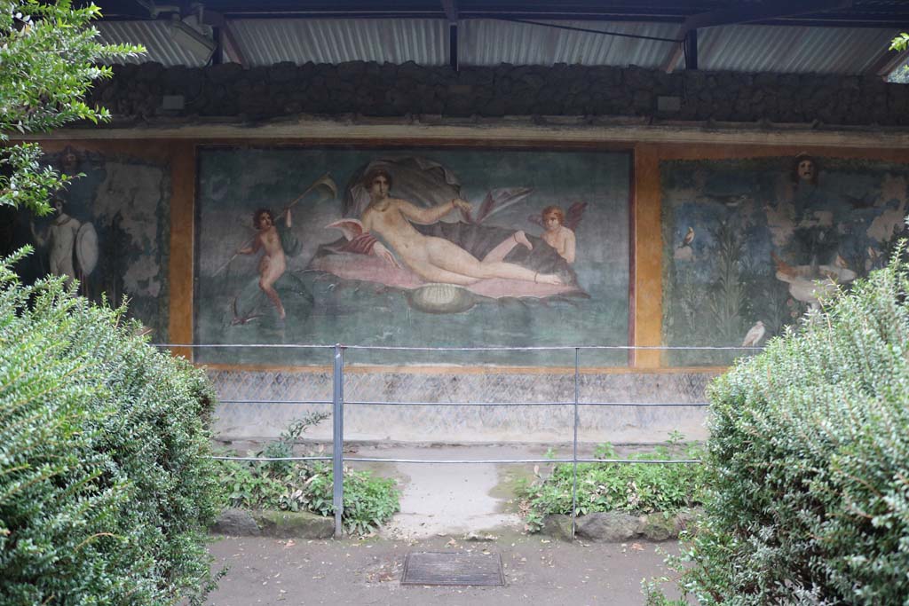 II.3.3 Pompeii. December 2005. Room 11, central panel on south wall of peristyle. Wall painting of Aphrodite / Venus in a shell. 



