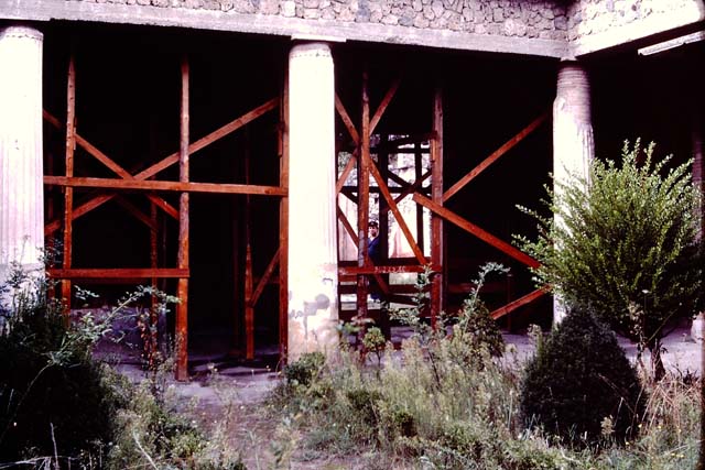 II.3.3 Pompeii. December 2005. Room 11, north wall of north portico, and doorway to room 5.