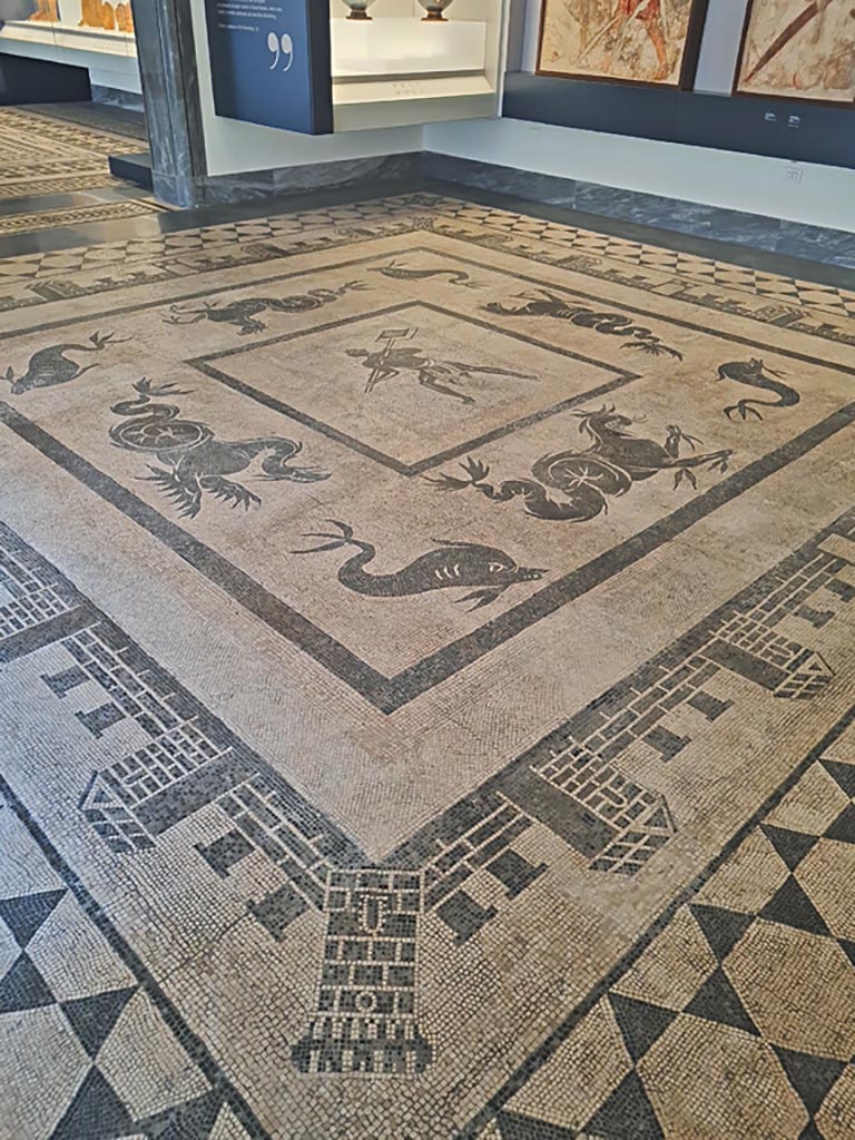 II.4.6 Pompeii. June 2024. Looking across mosaic floor with a marine scene.
On display in Naples Archaeological Museum, room CXXXII (132). Photo courtesy of Giuseppe Ciaramella.