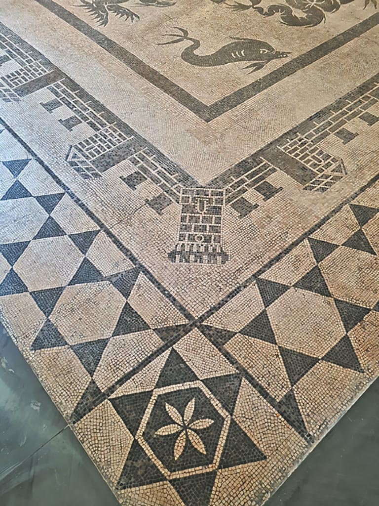 II.4.6 Pompeii. June 2024. Looking across mosaic floor from corner edge of border.
On display in Naples Archaeological Museum, room CXXXII (132). Photo courtesy of Giuseppe Ciaramella.