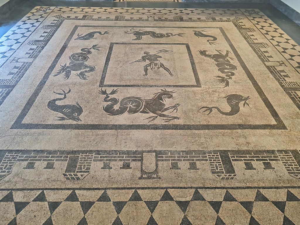II.4.6 Pompeii. July 2024.
Mosaic floor in Room CXXXII (132). On display in Naples Archaeological Museum. Photo courtesy of Giuseppe Ciaramella.
(Note: this mosaic has also been entered into VI.1.25, Pompeii).
