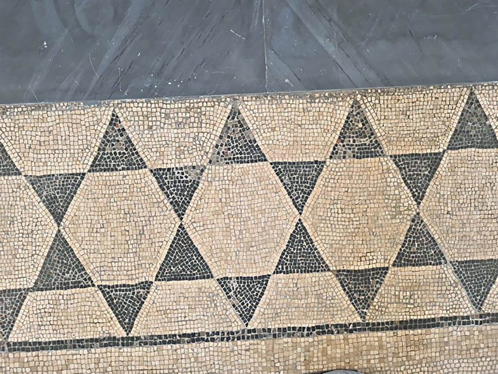 II.4.6 Pompeii. June 2024.
Black and white mosaic border around edge of mosaic in room CXXXII (132). Photo courtesy of Giuseppe Ciaramella.