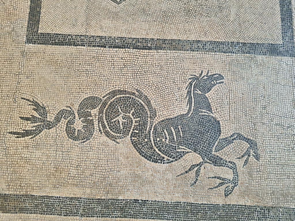 II.4.6 Pompeii. July 2024.
Detail from mosaic floor in atrium, now in Naples Archaeological Museum. Photo courtesy of Giuseppe Ciaramella.