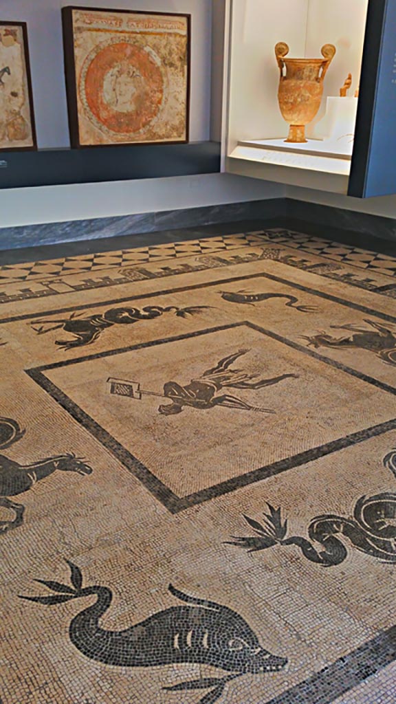 II.4.6 Pompeii. July 2019.
Looking across flooring in Naples Archaeological Museum, detail from mosaic floor from atrium.
Photo courtesy of Giuseppe Ciaramella.