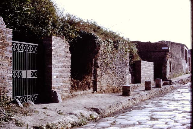II.5.3 Pompeii. March 2009. Looking south over wall across vineyard.