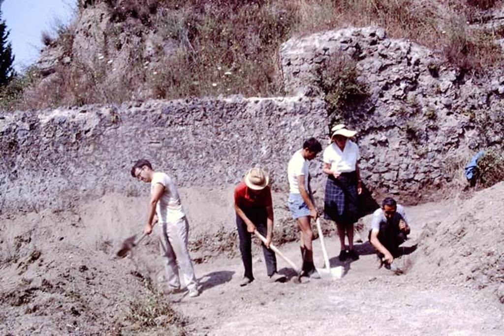 II.5 Pompeii. 1966. Carefully looking for the root cavities, Wilhelmina�s first complete row of small root cavities were found along this east wall. Photo by Stanley A. Jashemski.
Source: The Wilhelmina and Stanley A. Jashemski archive in the University of Maryland Library, Special Collections (See collection page) and made available under the Creative Commons Attribution-Non Commercial License v.4. See Licence and use details.
J66f0435

