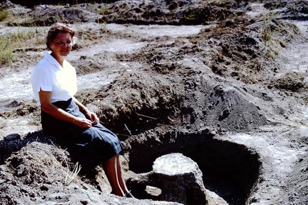 II.5 Pompeii. 1966. Wilhelmina in �her vineyard � not the cattle market�.  Photo by Stanley A. Jashemski.
Source: The Wilhelmina and Stanley A. Jashemski archive in the University of Maryland Library, Special Collections (See collection page) and made available under the Creative Commons Attribution-Non Commercial License v.4. See Licence and use details.
J66f1130
