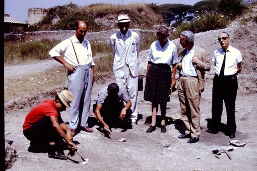 II.5 Pompeii. 1966. Distinguished visitors view the site, amongst others � Dott. Carlo Giordano and Prof. de Franciscis. Wilhelmina was delighted when Prof. de Franciscis, who had encouraged her to work in the Foro Boario, came to visit the excavations. He was very enthusiastic and said that the site should be excavated completely, and the fill removed. 
He hoped to raise the money so that the vineyard could be replanted as it had been in antiquity. Photo by Stanley A. Jashemski.
Source: The Wilhelmina and Stanley A. Jashemski archive in the University of Maryland Library, Special Collections (See collection page) and made available under the Creative Commons Attribution-Non Commercial License v.4. See Licence and use details.
J66f0961

