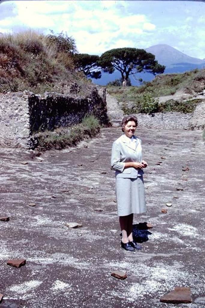 ll.5 Pompeii, 1968. Wilhelmina in �her� vineyard.  Photo by Stanley A. Jashemski.
Source: The Wilhelmina and Stanley A. Jashemski archive in the University of Maryland Library, Special Collections (See collection page) and made available under the Creative Commons Attribution-Non Commercial License v.4. See Licence and use details.
J68f2036
