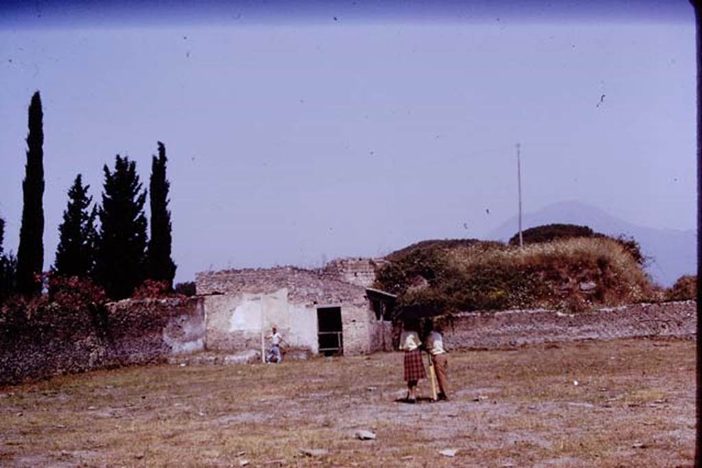 II.5 Pompeii. 1970. Looking north-west.   Photo by Stanley A. Jashemski.
Source: The Wilhelmina and Stanley A. Jashemski archive in the University of Maryland Library, Special Collections (See collection page) and made available under the Creative Commons Attribution-Non Commercial License v.4. See Licence and use details.
J70f0683
