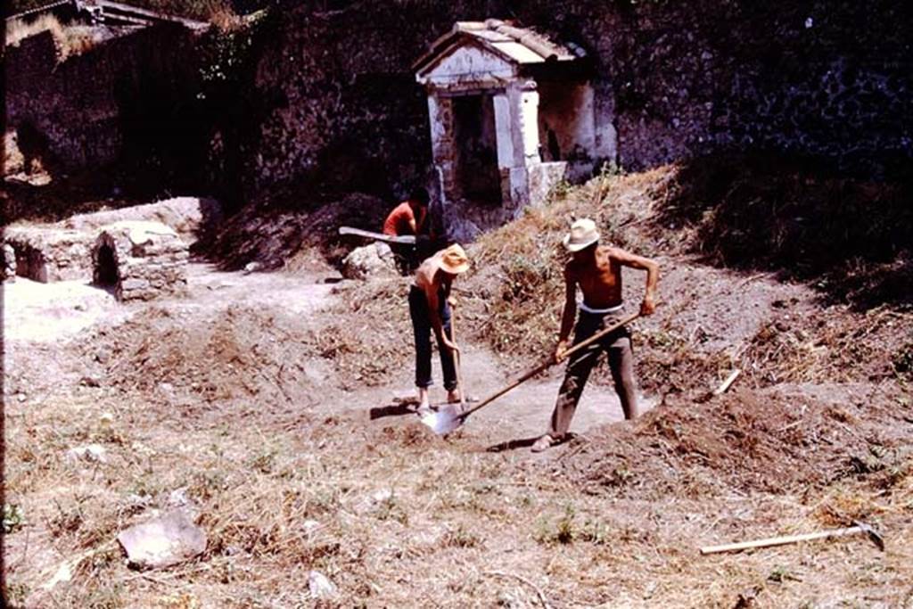 II.8.6 Pompeii. 1972. Looking north along east side. On the left, near the triclinium, is the �dog-kennel�.  Photo by Stanley A. Jashemski. 
Source: The Wilhelmina and Stanley A. Jashemski archive in the University of Maryland Library, Special Collections (See collection page) and made available under the Creative Commons Attribution-Non Commercial License v.4. See Licence and use details. J72f0170
