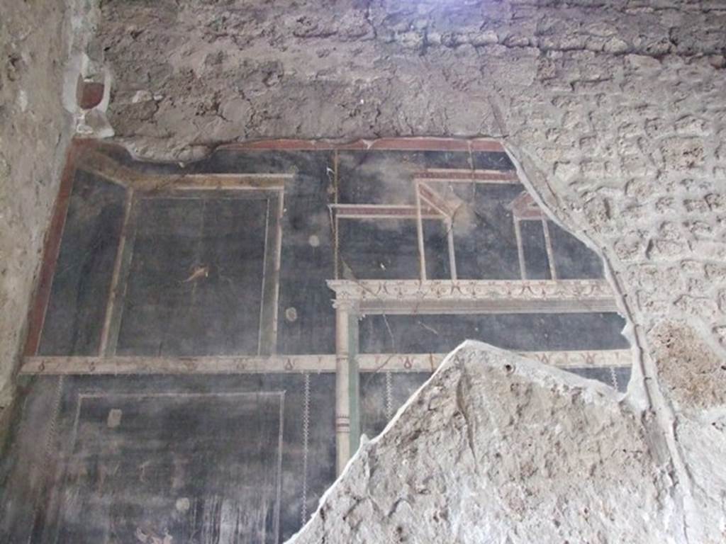III.2.1 Pompeii. March 2009. Room 7. Oecus. South wall.