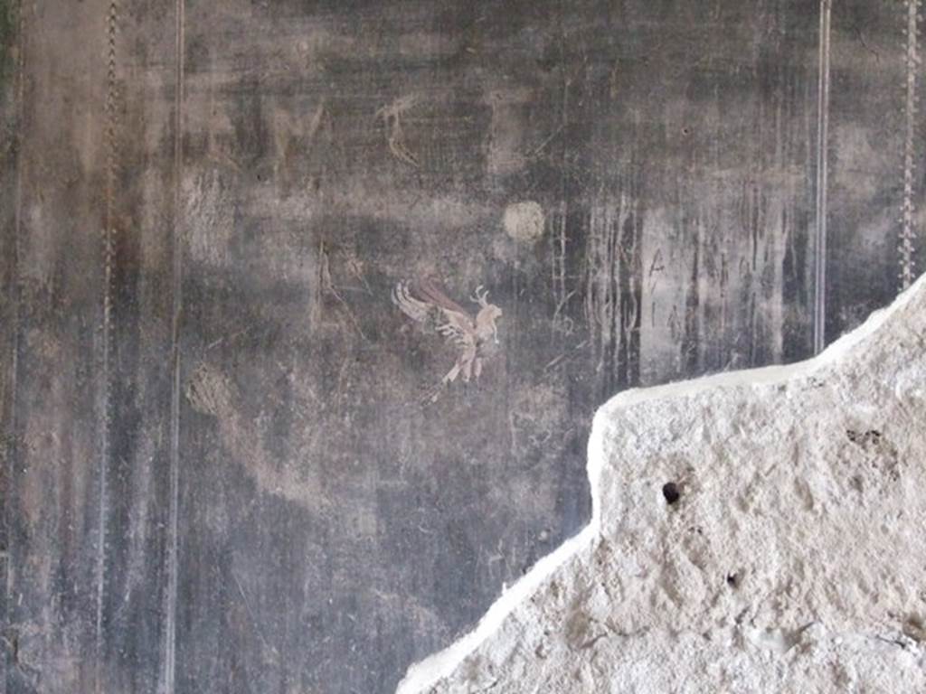 III.2.1 Pompeii. March 2009. Room 7. Oecus. South wall. Detail from lower panel at east end.