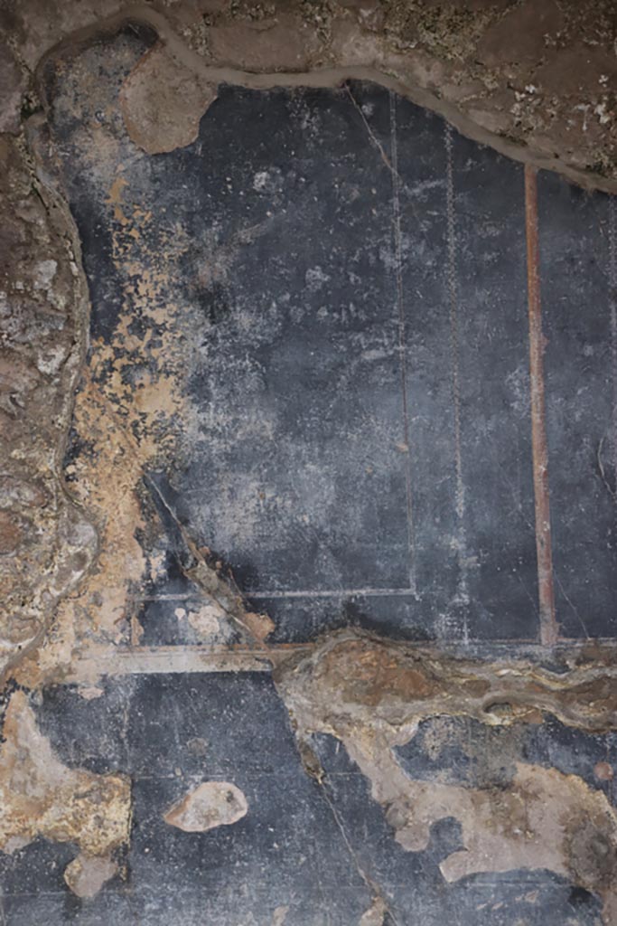 III.2.1 Pompeii. May 2024.
Room 7, detail from south end of east wall of oecus. Photo courtesy of Klaus Heese.